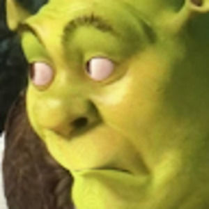 Meet your Posher, Bob